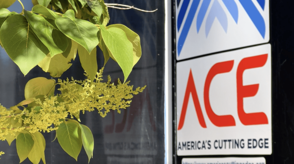 An ACE logo on the Minnesota trailer sits in the background of this shot with leaves in the foreground.